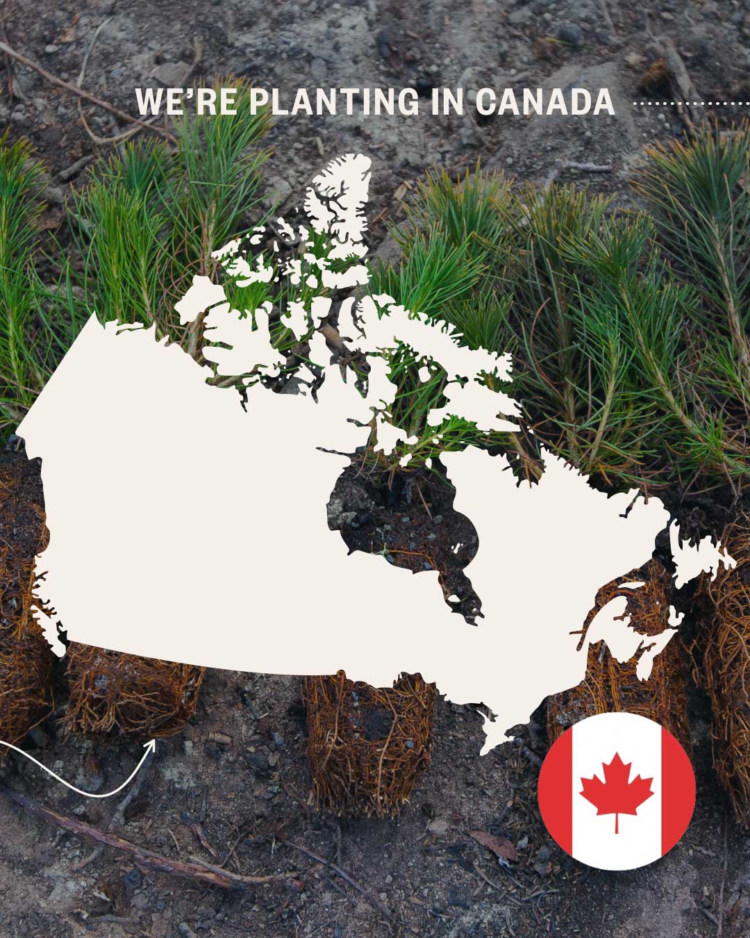 Sustainability Steps From U-Build. Step 2.