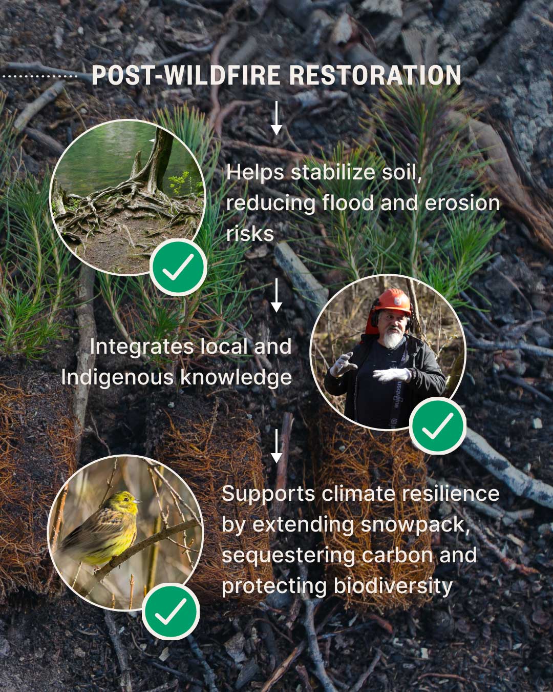 Sustainability Steps From U-Build. Step 3.