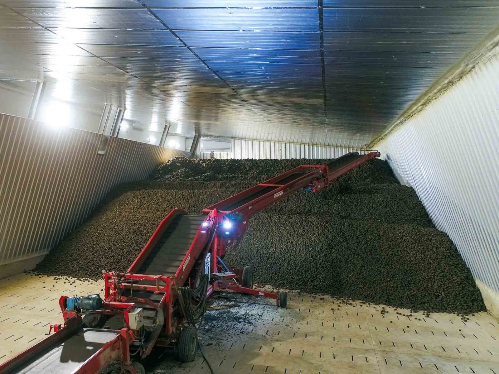 MacGregor Potato Storage
