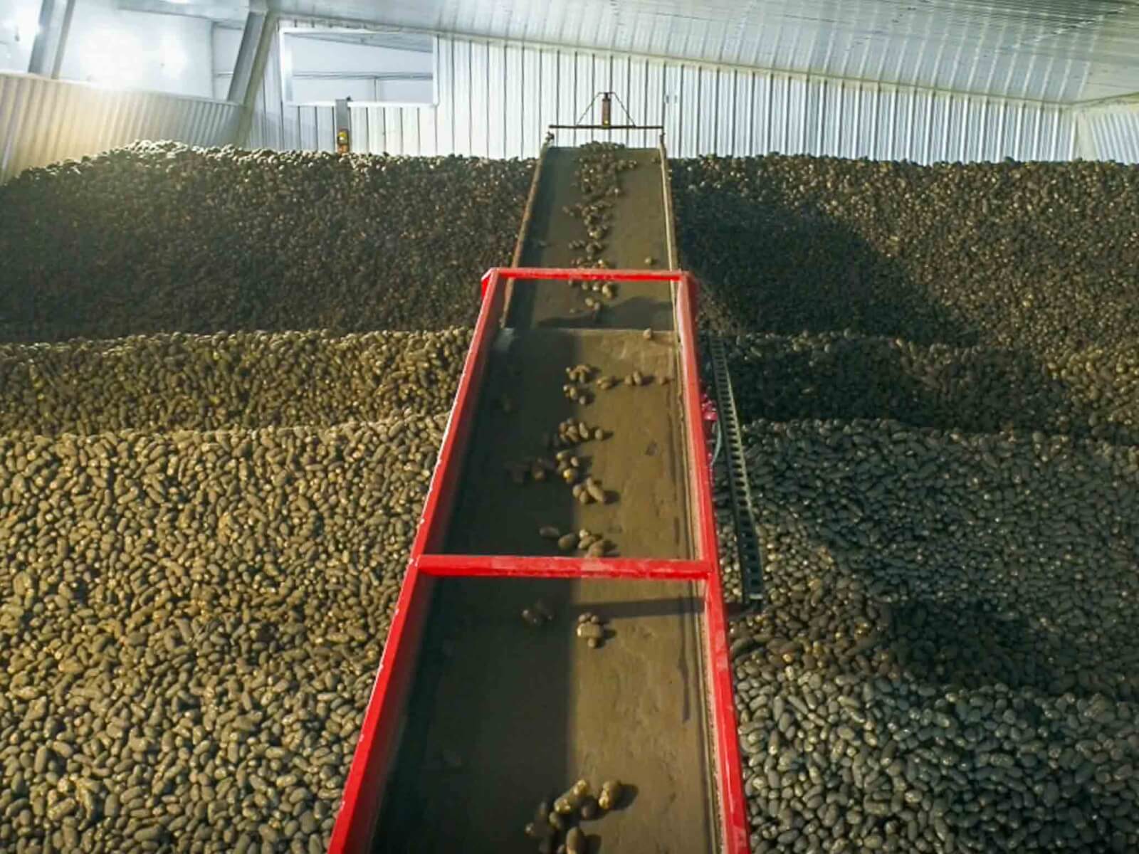 MacGregor Potato Storage